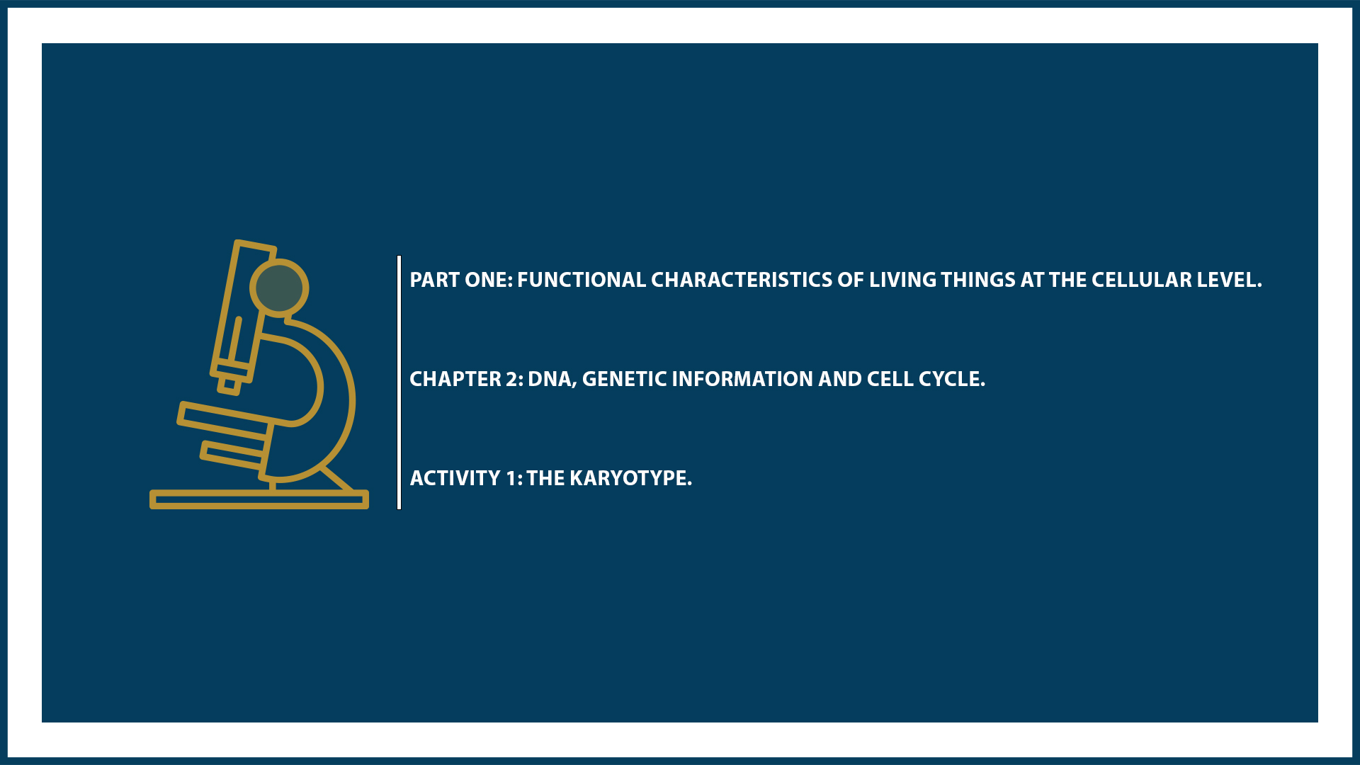 Part One: Chapter 2: Activity 1: The karyotype